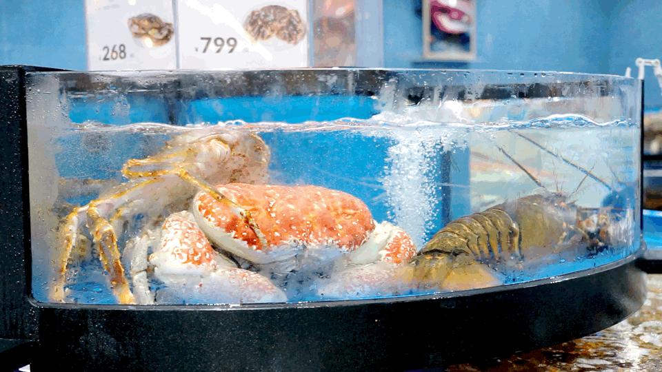 盒马鲜生攻略肉类,盒马鲜生哪些东西值得买