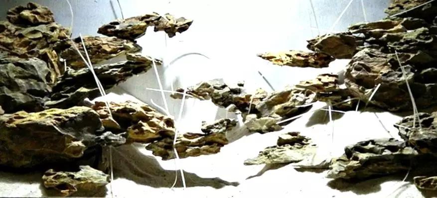 草缸造景教程：胶水造景太温柔，男人就该上电钻