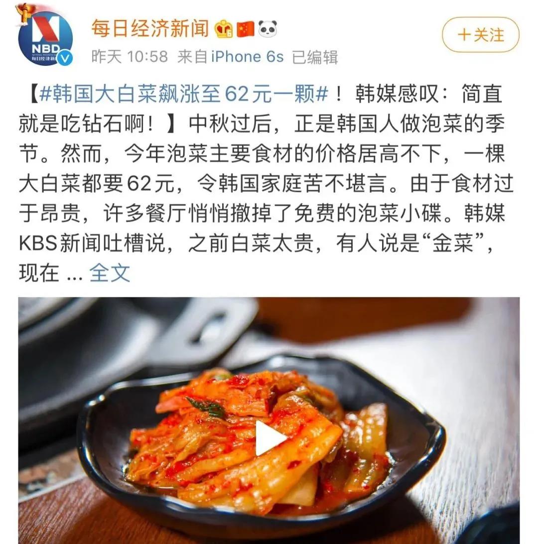 一颗白菜卖60多块钱!拯救韩国人今年的餐桌,全靠山东寿光了