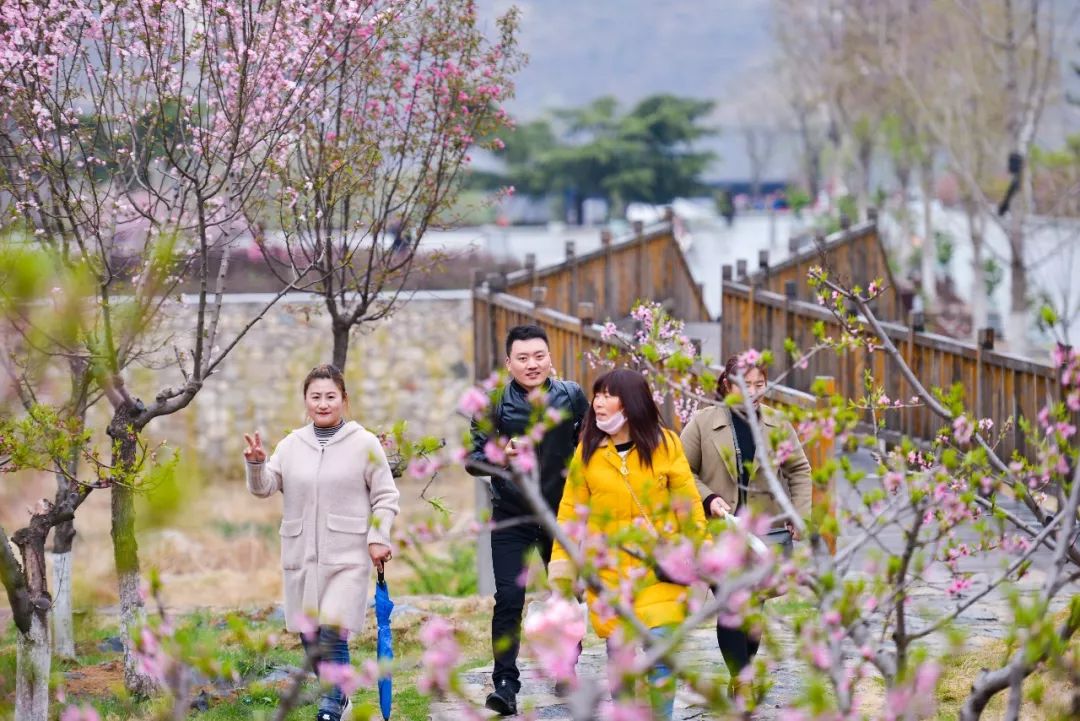 天蒙山踏青赏花,蒙山景区赏花