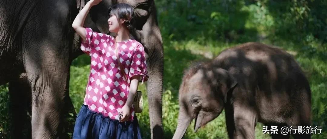 介绍一下云南的西双版纳,云南西双版纳的介绍景点