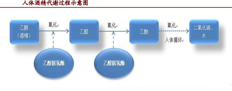 用了“解酒药”，就能开怀畅饮？关于“解酒药”，真相都在这里