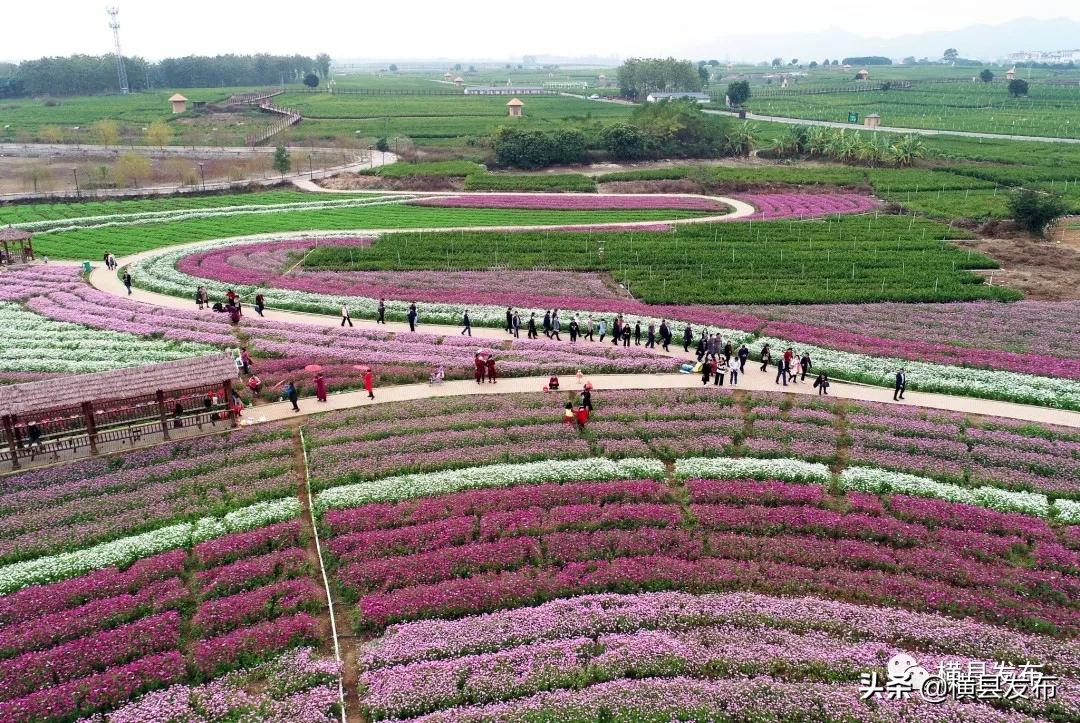 从县到市到省,从县到区的过程