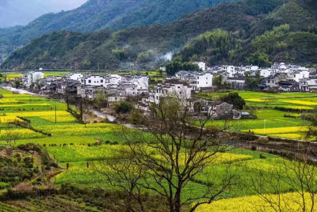 走进裔村：仙家一出寻无踪，至今流水山重重