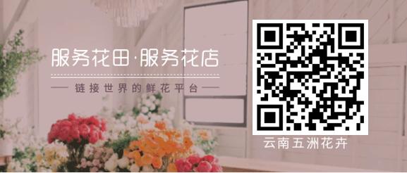 花店加盟如何避坑,加盟花店容易踩的坑