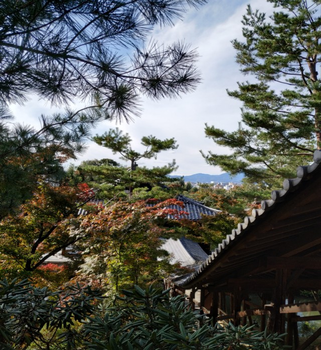 3月底日本关西8日游攻略,日本关西旅游攻略七日游