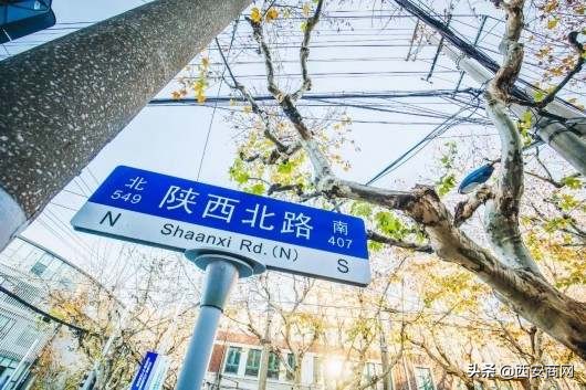 陕西北路变身“新网红”潮店、老字号召唤你