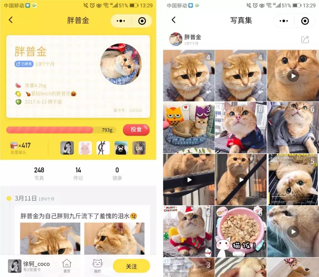 从学猫叫到猫爪杯，千亿级萌宠市场，下一个风口离你有多近？