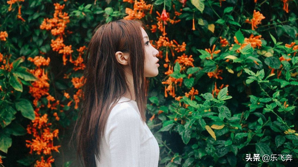 再次寻找周杰伦,再次寻找周杰伦半岛铁盒