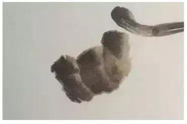 一学就会画教你一步一步画螃蟹,画螃蟹的步骤和方法