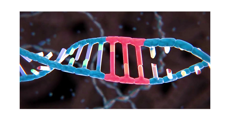如果基因被破解会有什么后果,人类基因被破解的危害