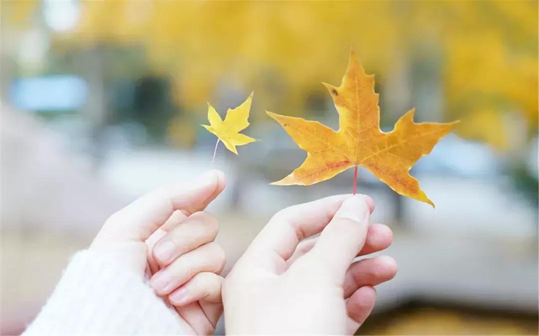 卡尔荣格说,卡尔荣格人生四个阶段