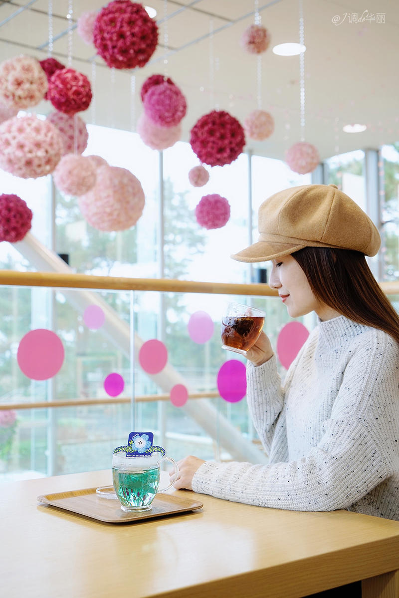 日本东京一日游攻略详细,日本东京五日游最佳路线图