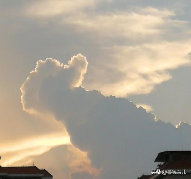 长期便秘怎么办才好,长期便秘会得癌吗