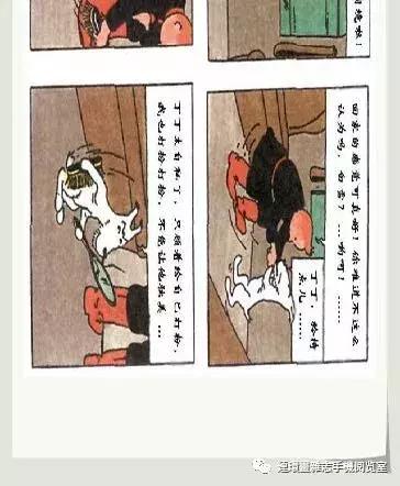 丁丁和丁丁历险记论文,丁丁历险记丁丁的服装