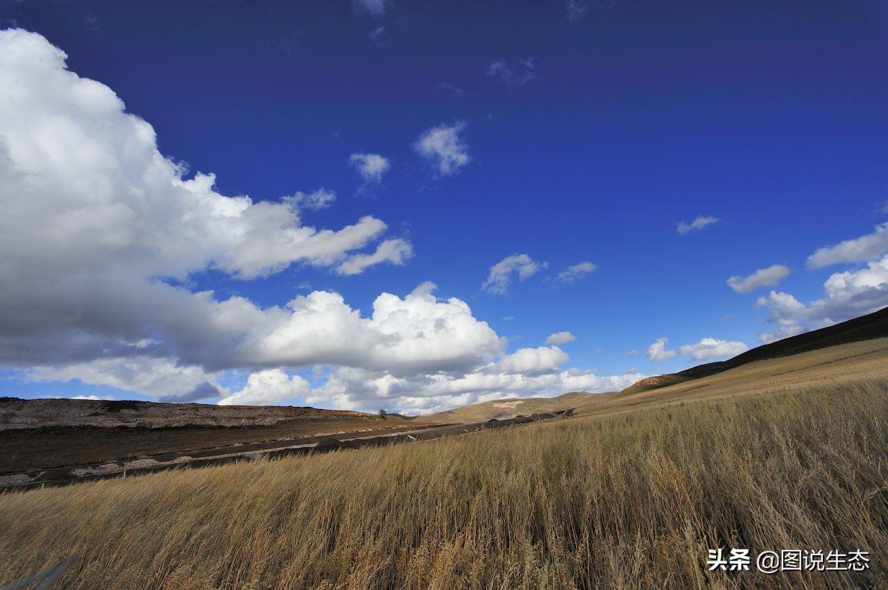 20年风雨治沙路，绿水青山秀丰宁