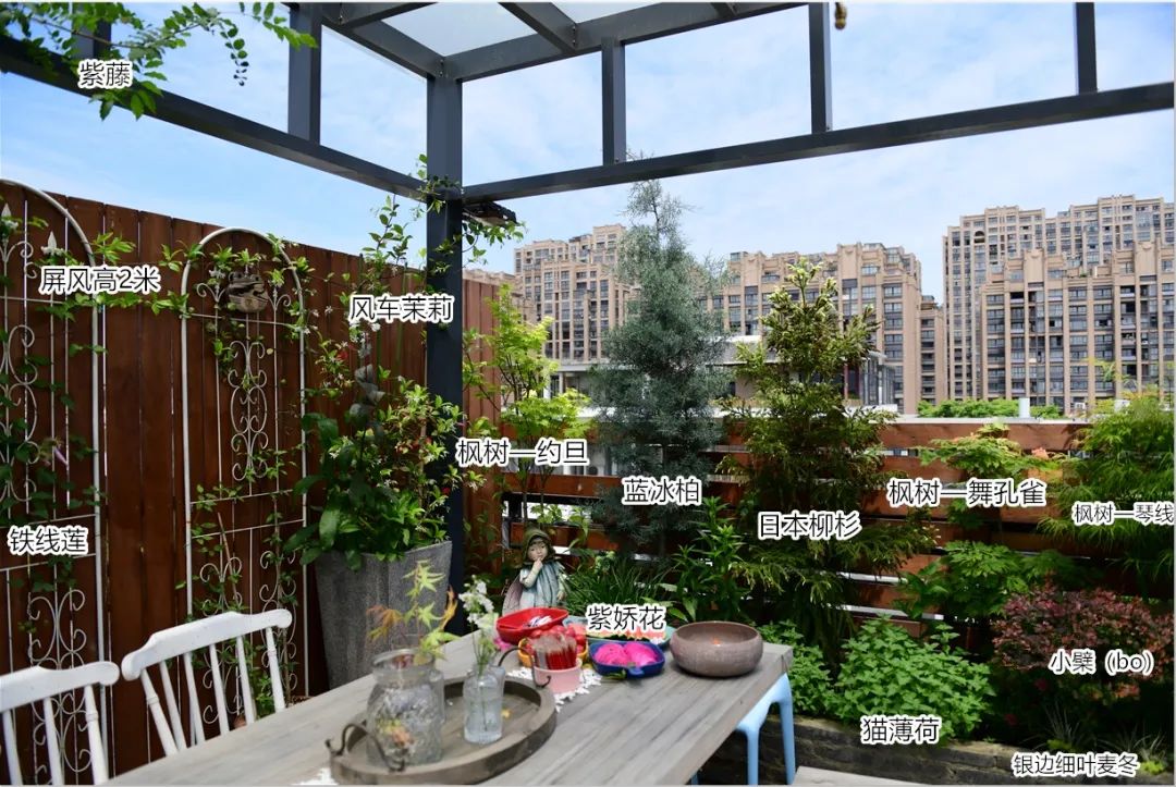 怎样打造露台花园,简单露台花园打造方法