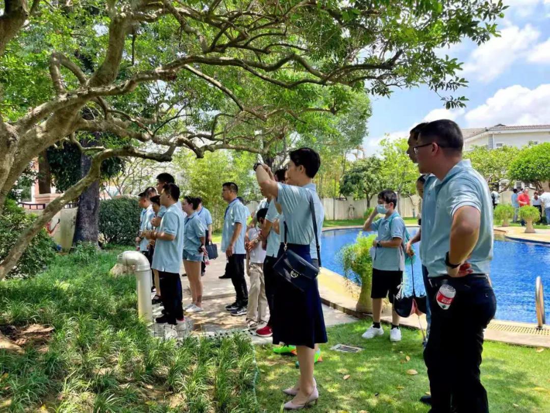 夏天花园蚊子多怎么办,怎么解决花园蚊子多的问题