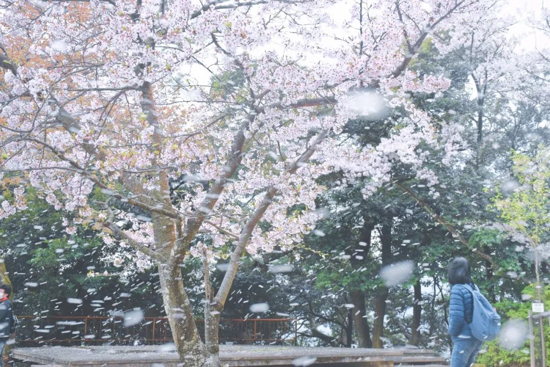 看惯了千篇一律,看惯了千篇一律的风景