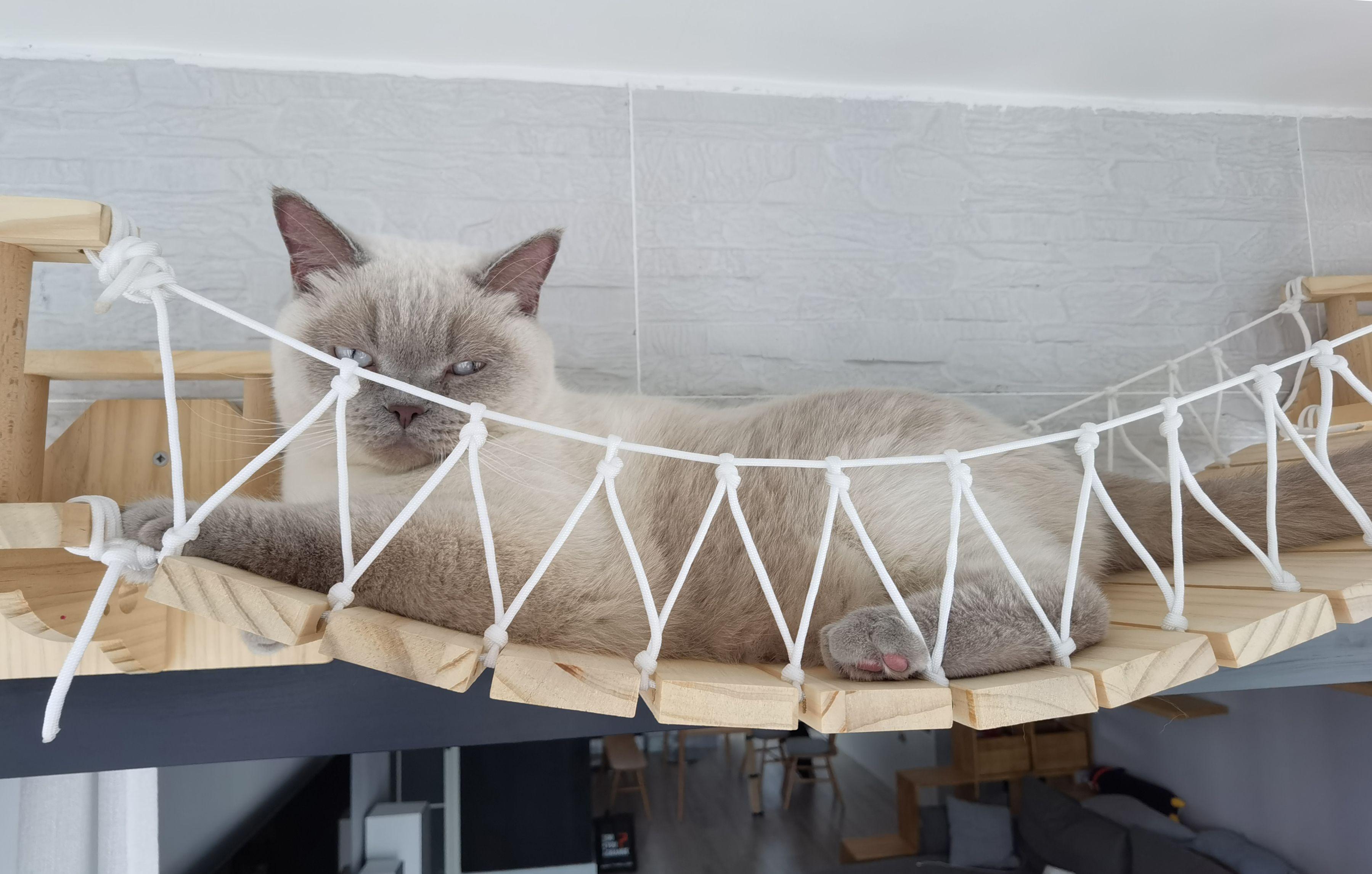 618家电别买清单,618家电选购