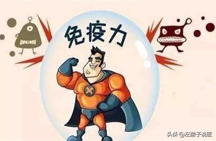 免疫力不好吃什么可以提升免疫力,身体抵抗力差怎么提高免疫力