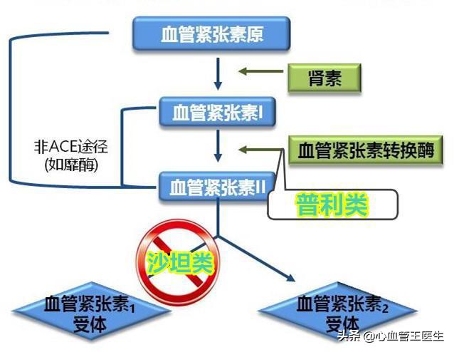 普利和沙坦类药对肝肾有影响吗,普利药和沙坦药哪个对肺好