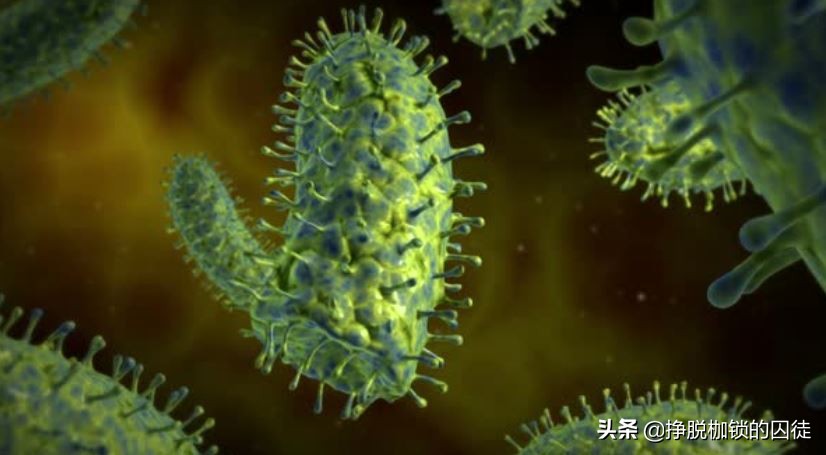 辟谣狂犬病潜伏期,狂犬病毒潜伏期辟谣