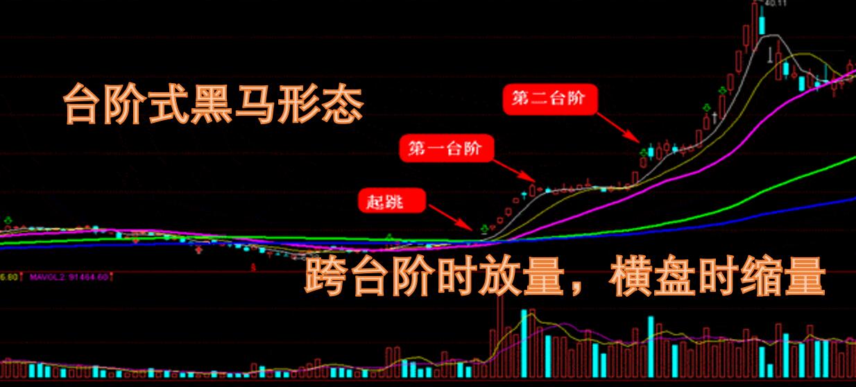 一分钟看懂3600只黑马股票,如何从冷门股中选出黑马建议收藏