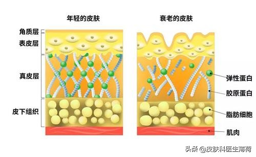 马应龙痔疮膏可以美肤吗,马应龙痔疮膏有什么护肤效果