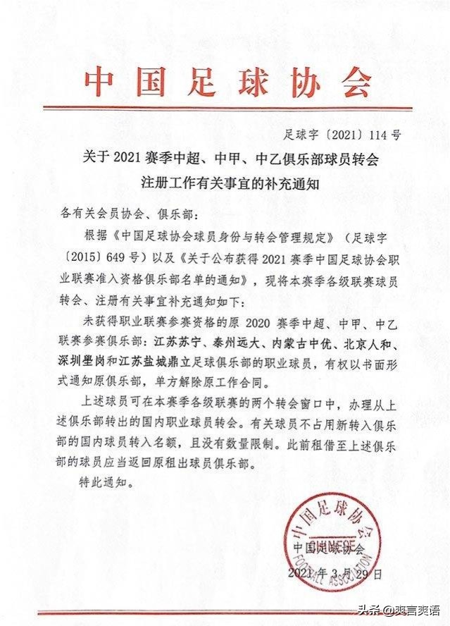 不死鸟天津泰达,天津不死鸟队