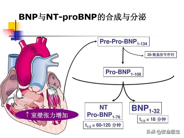 感觉心脏不好基本检查有哪些,总感觉心脏有病还检查不出来