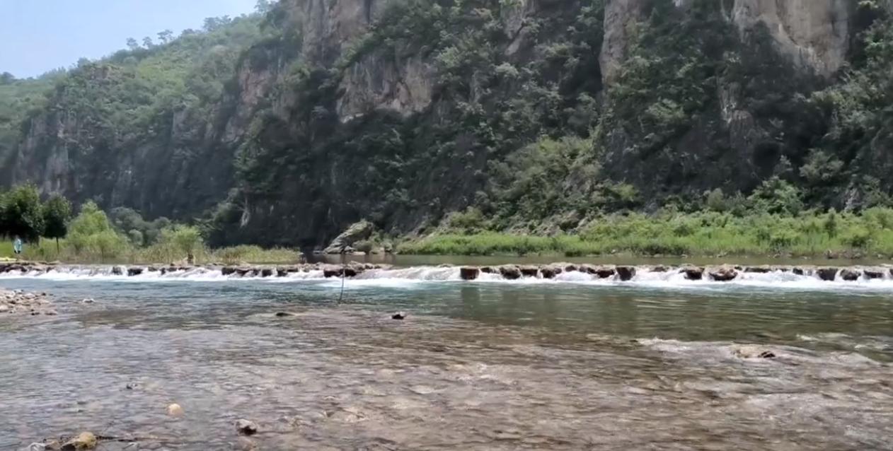 郑州植物园夏季开放时间,郑州夏季适合去哪旅游攻略