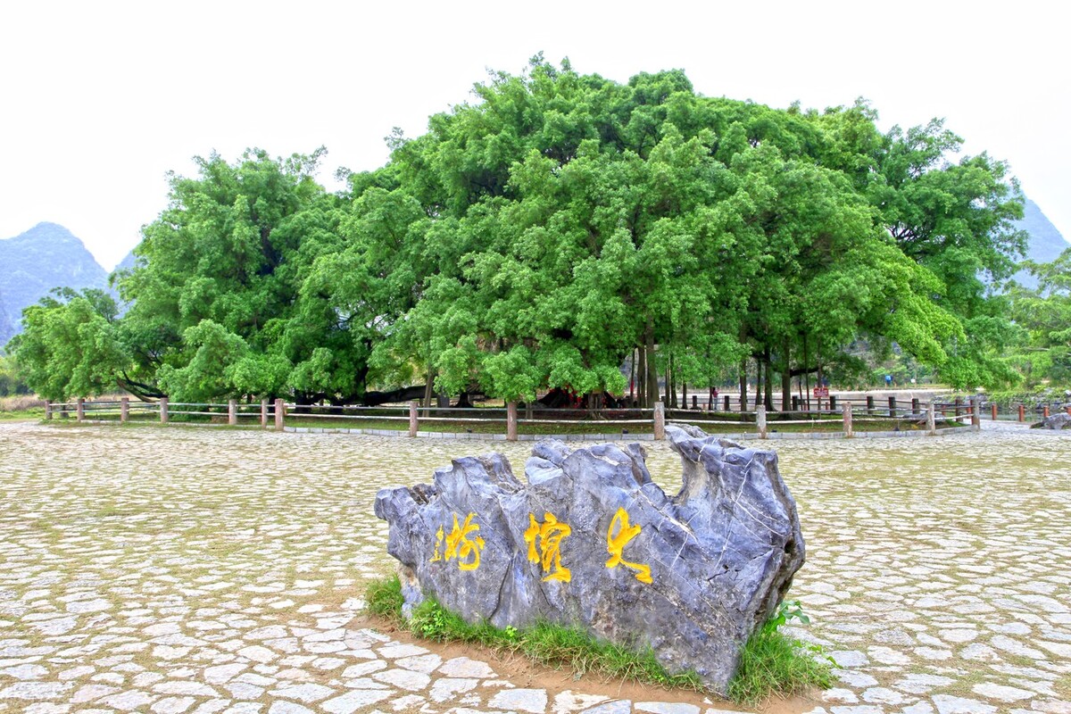 阳朔保姆级三日游攻略,桂林阳朔自由行保姆级攻略