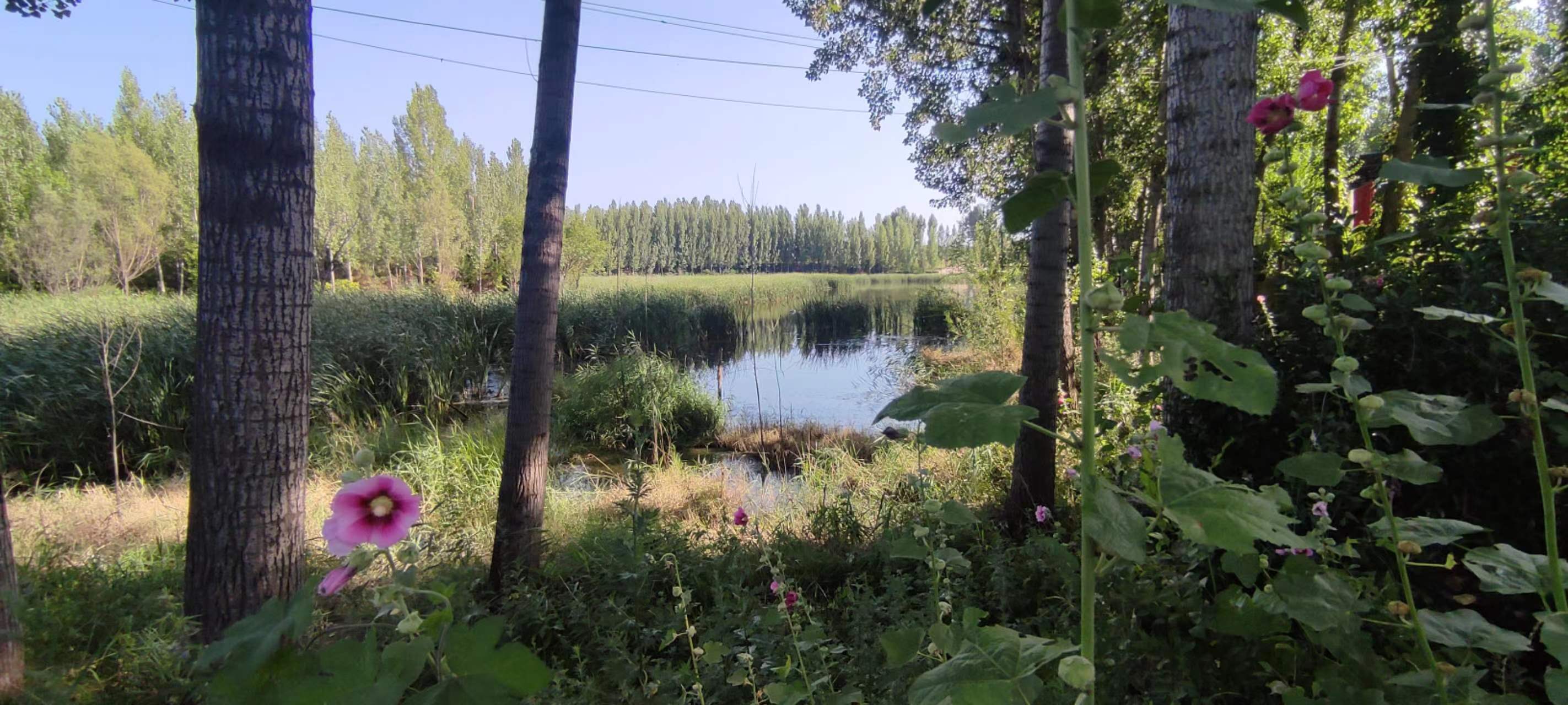 古中国考出彭蠡泽｜张笔魁