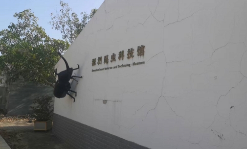 博士茶馆纯中式茶,深圳博士茶馆