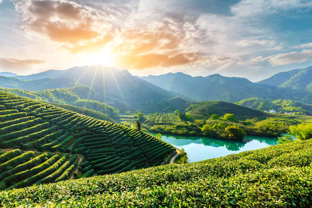 心理测试选图测近期状态,心理测试图测你未来