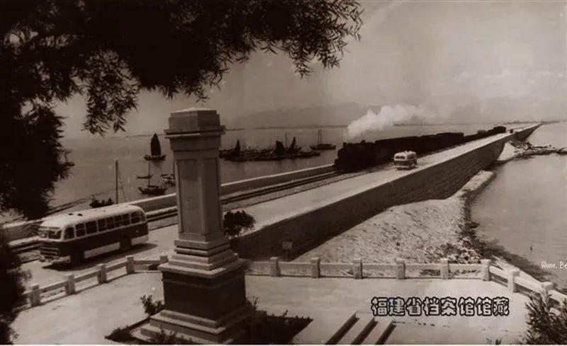 深耕茶叶加工数十载,深耕茶业20年