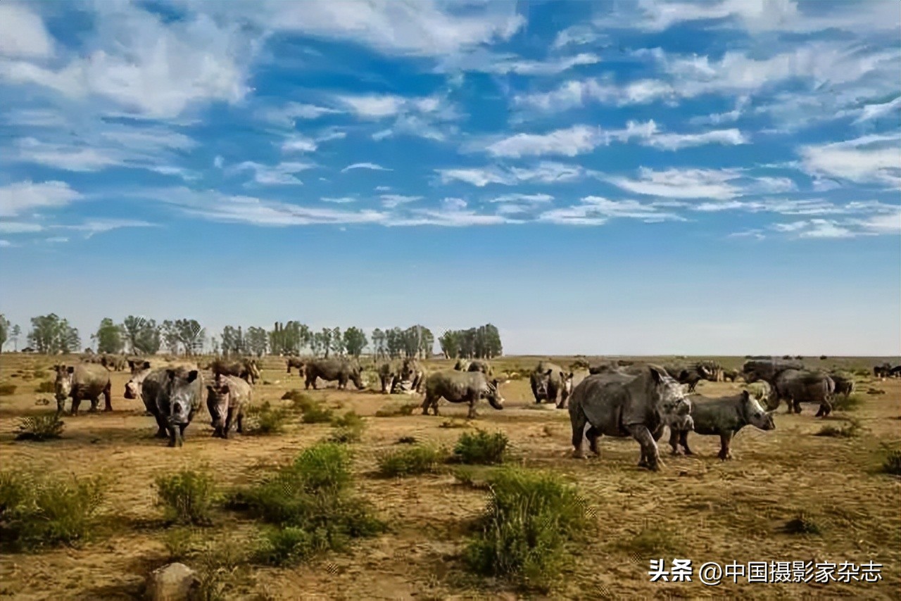 108张令人惊讶的历史与自然照片,有颠覆你认知的那张吗?