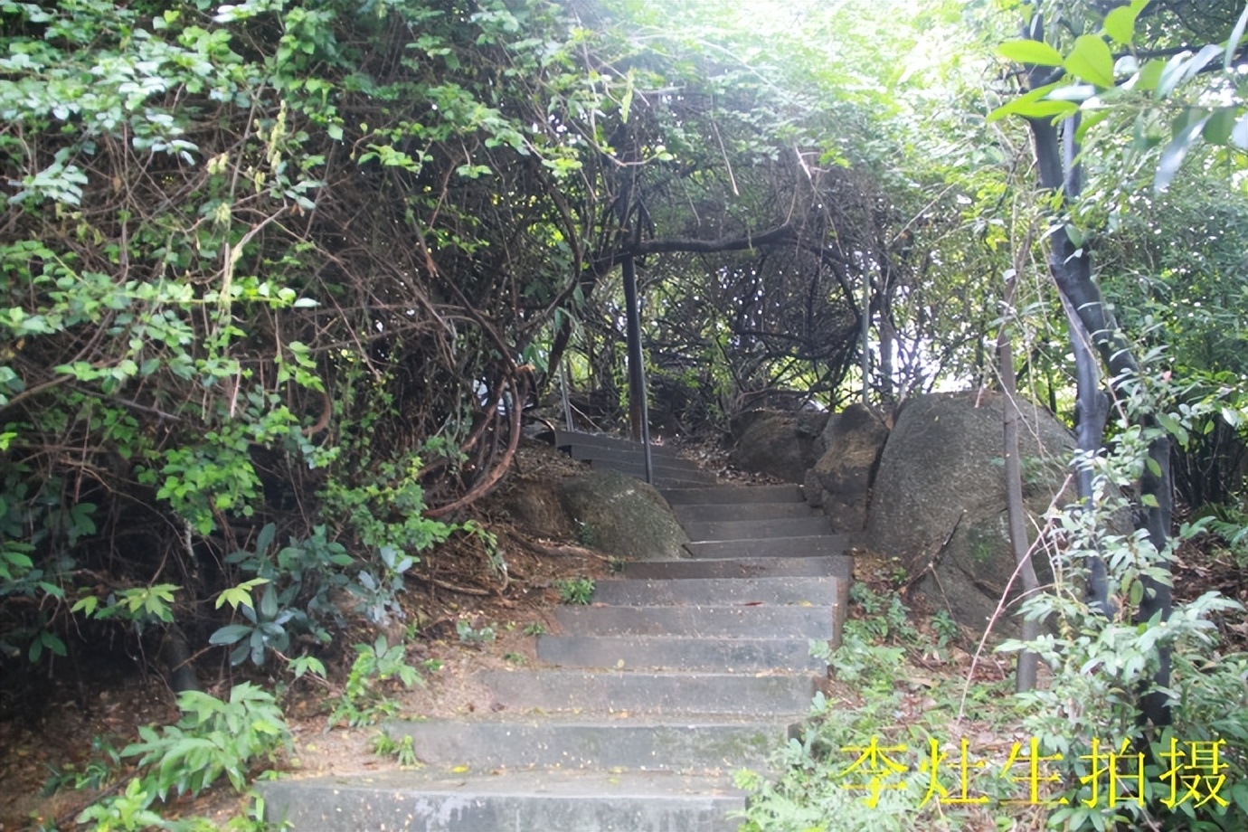 杨四将军庙简介,杨四将军庙在哪个位置