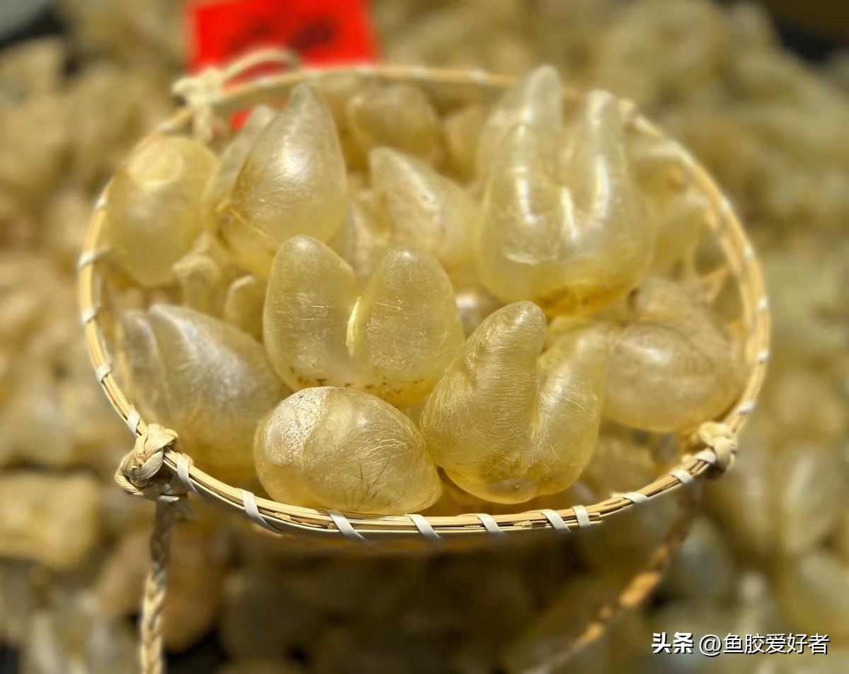 小价位的鱼胶哪些值得买,鱼胶哪一款比较好