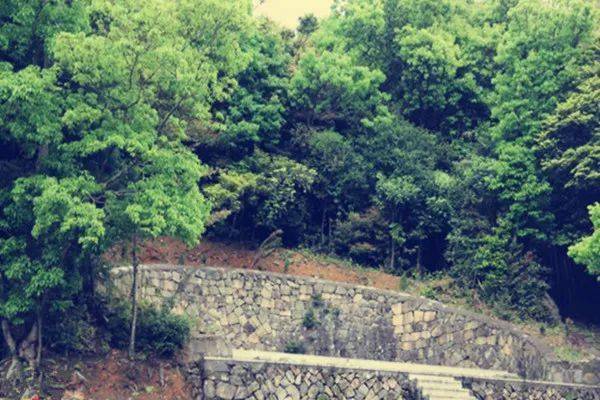 河南省卫辉市,河南卫辉是哪