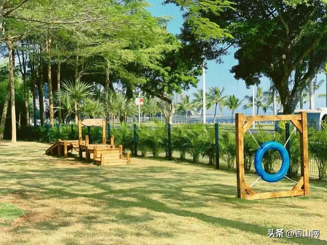 珠海唐家遛狗好去处,周末遛狗好去处乌鲁木齐