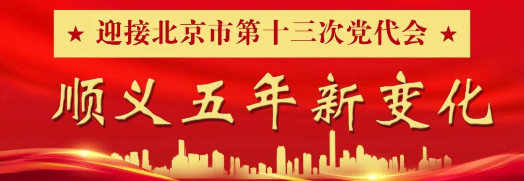 北京市第十三届党代会预备会议,北京中关村大会