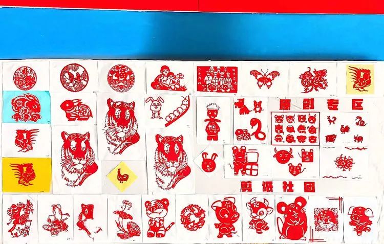 双减社团成果展示,双减社团活动短视频