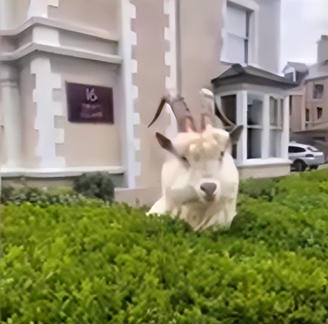 黄山景点关闭最新消息,黄山冬季关闭景区