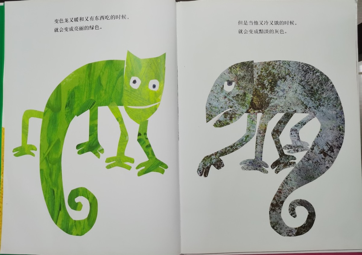 拼拼凑凑的变色龙绘本讲述,拼拼凑凑的变色龙绘本怎么导入