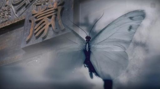 阿杜走遍中国蒙城,走遍安徽蒙城