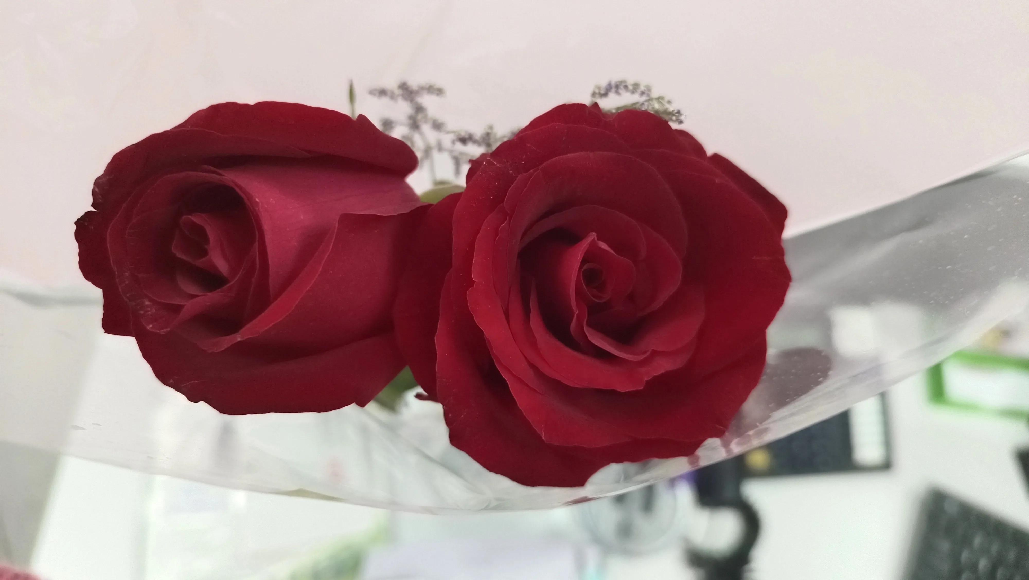 日语作文我的爱好,日语作文我的兴趣爱好七年级