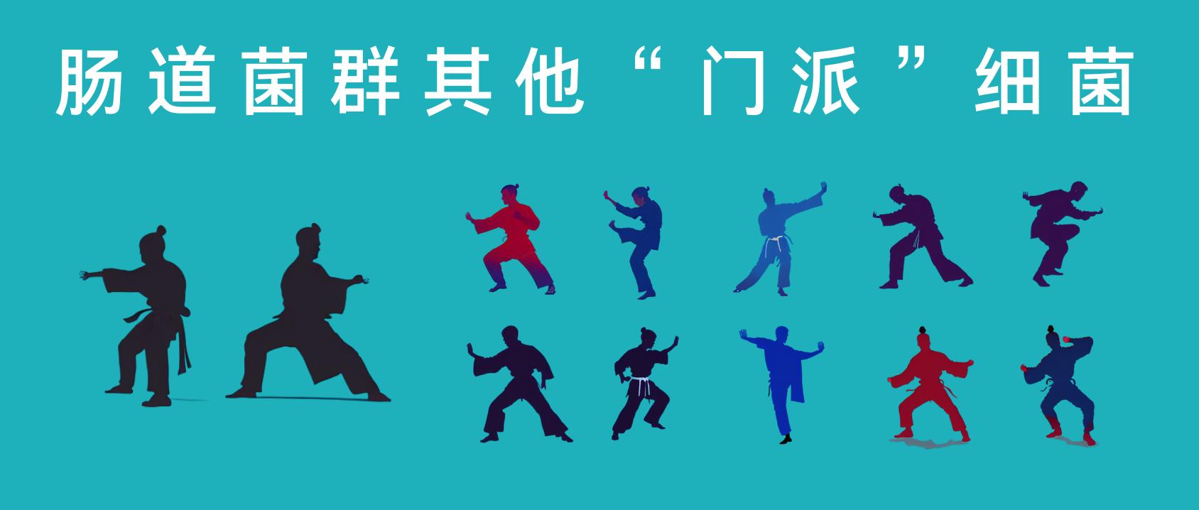 肠道菌群由哪些细菌组成,深度分析肠道细菌
