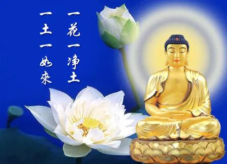 农历十一月十七日阿弥陀佛圣诞日,冬月十七日恭迎阿弥陀佛圣诞